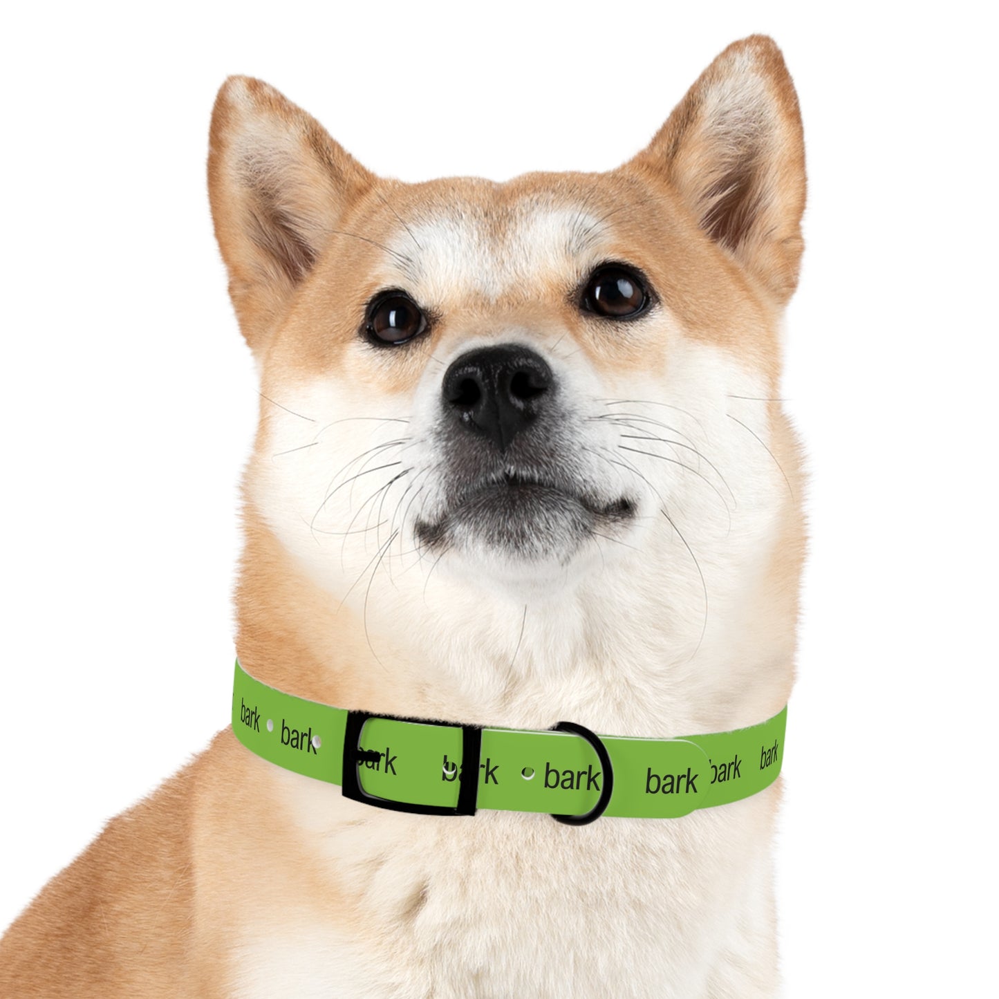 bark Dog Collar