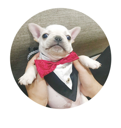 Dapper Tuxedo Formal Pet Bandana