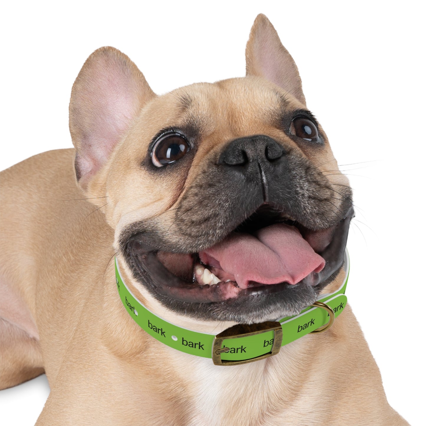 bark Dog Collar