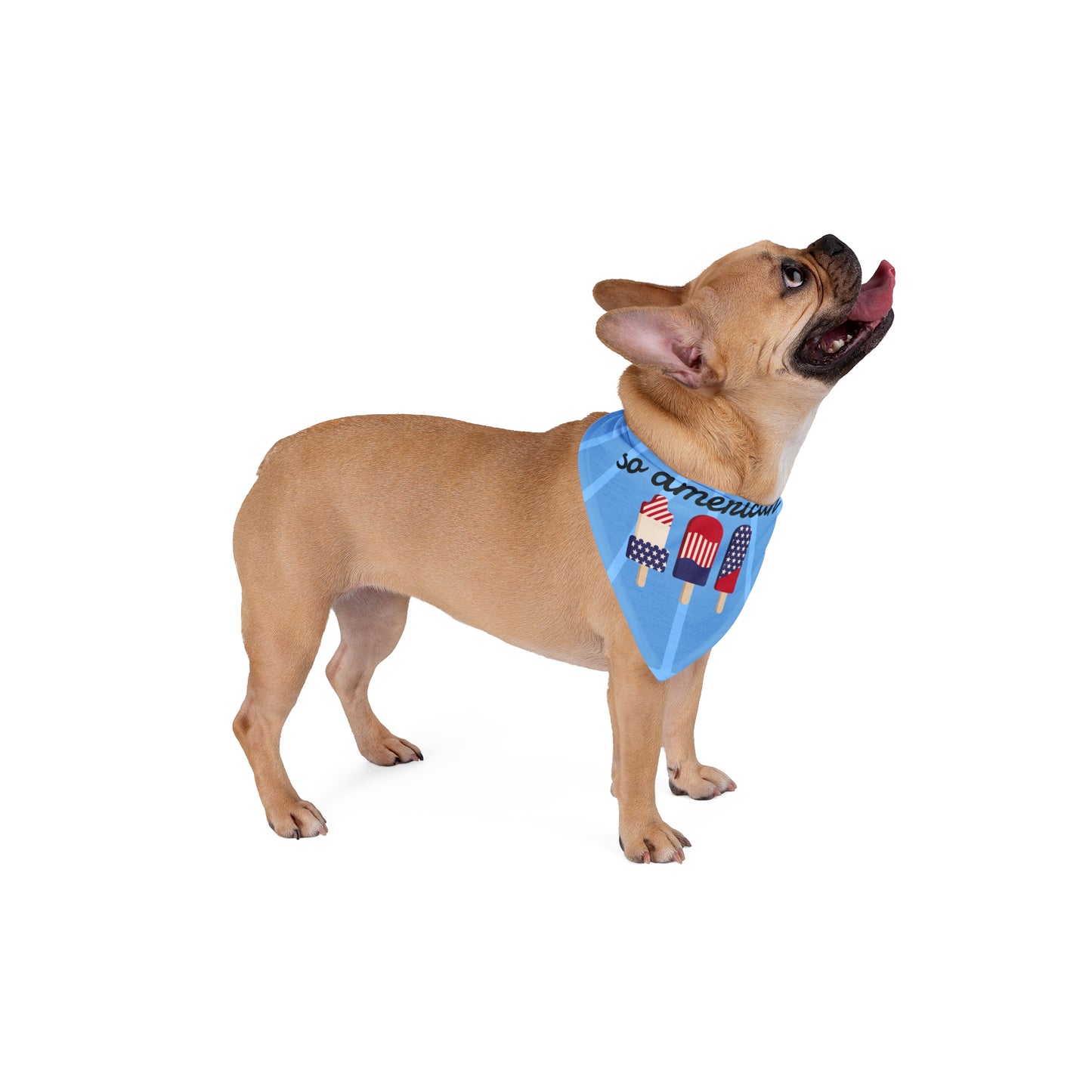 blue so american pet bandana on french bulldog