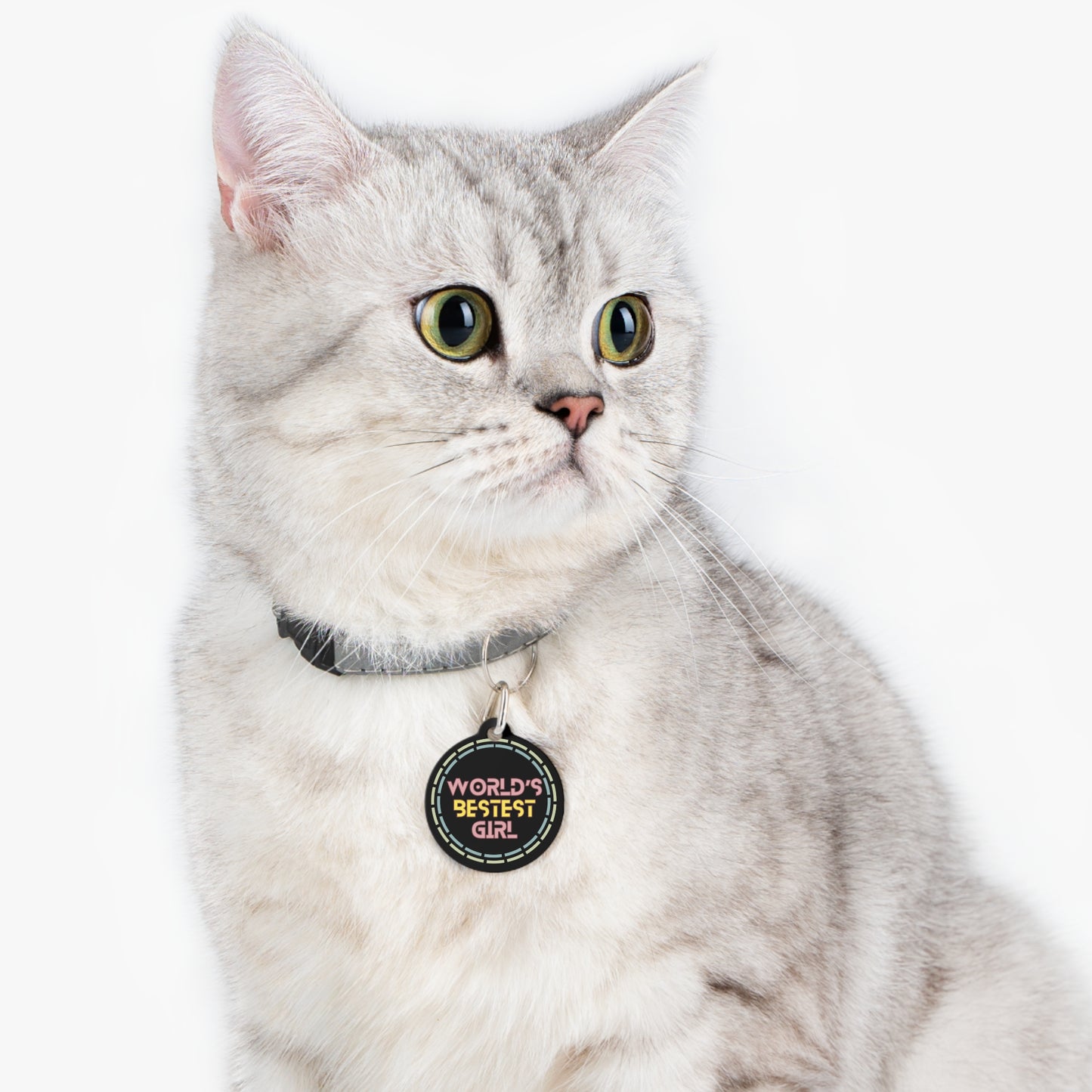 world's bestest girl pet tag on cat