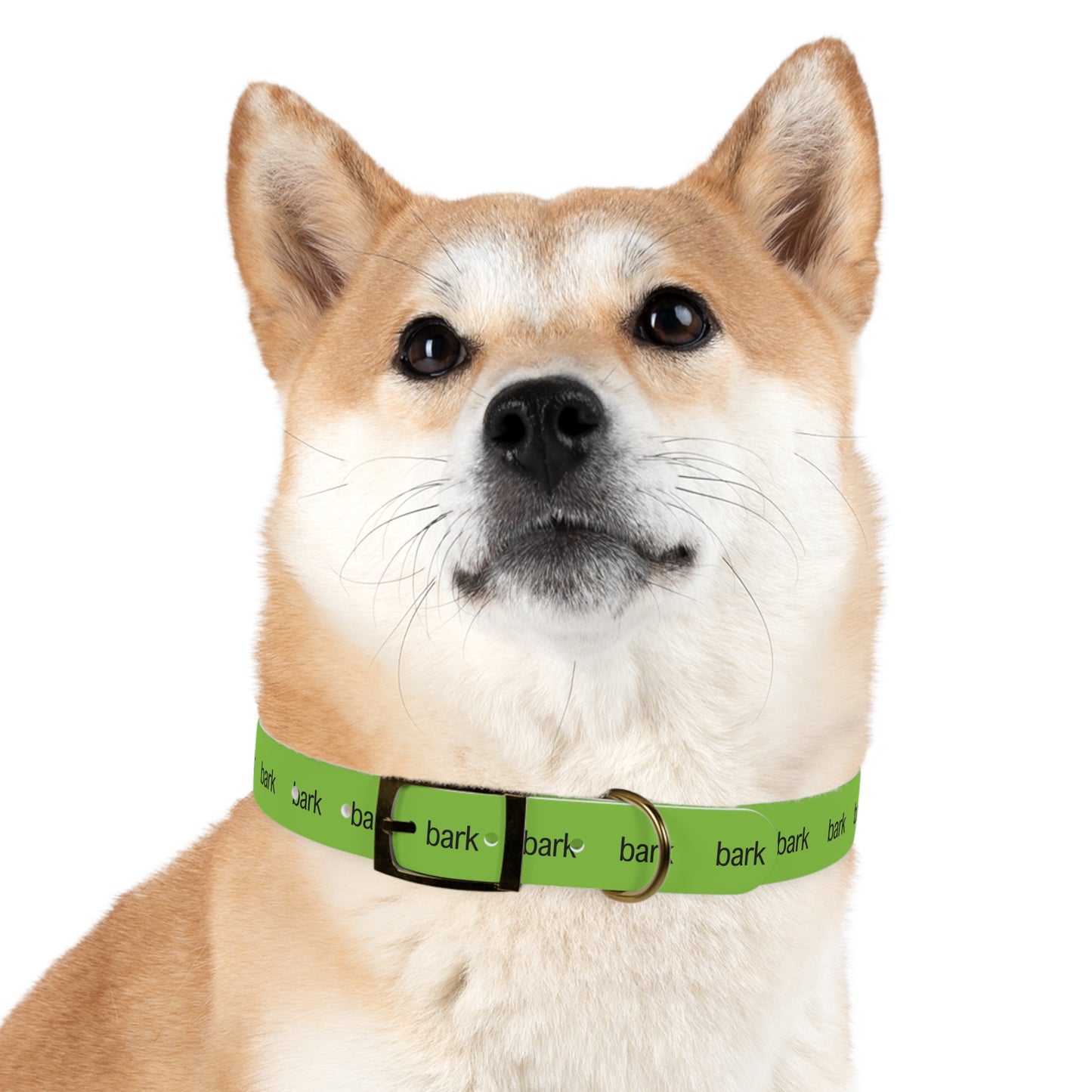 bark Dog Collar