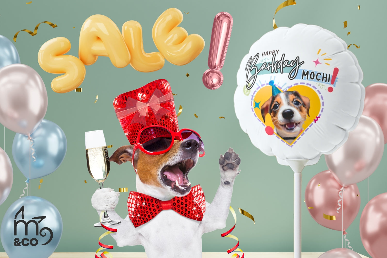 partying jack russell dog with personalized balloons mochi co